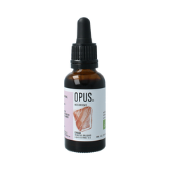 Opus Mushrooms Chaga 2:1 bio 30 Milliliter