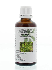 Cruydhof Ginkgo biloba folia tinctuur 50 Milliliter