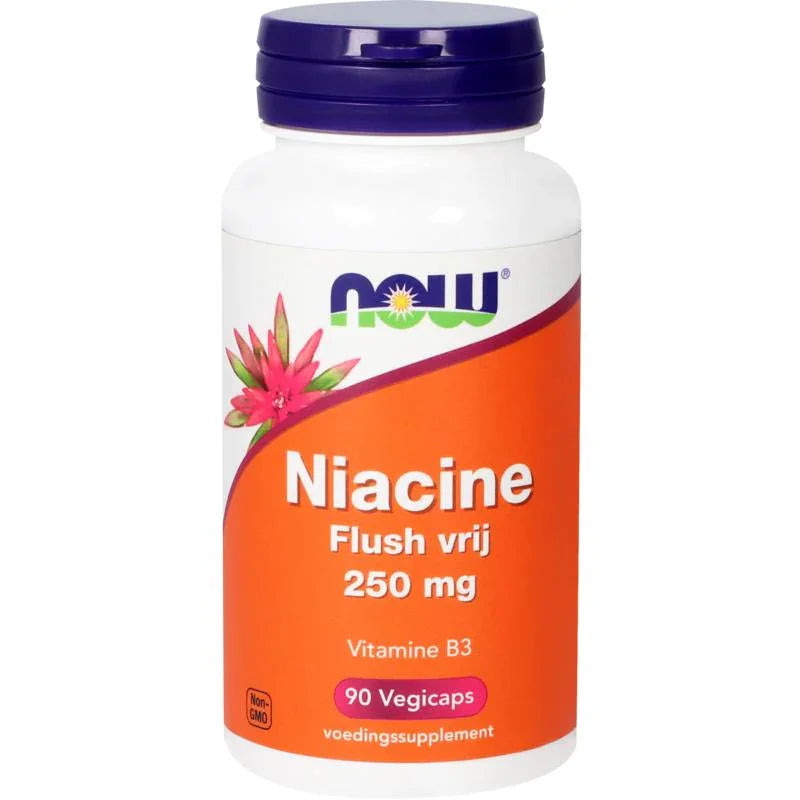 NOW Niacine flush vrij 250mg 90 Vegetarische capsules