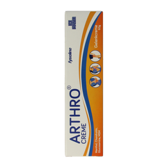 Ice Power Arthro creme 60.00 Gram