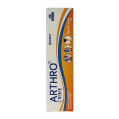 Ice Power Arthro creme 60 Gram