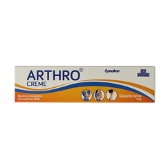 Ice Power Arthro creme 60.00 Gram