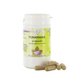 Holisan Punarnava 60 Vegetarische capsules