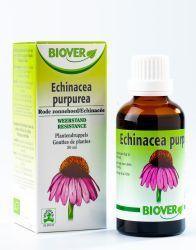 Biover Echinapurpurea tinctuur bio 50 Milliliter