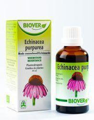 Biover Echinapurpurea tinctuur bio 50 Milliliter