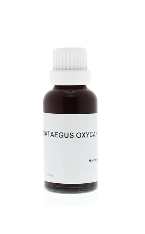 Homeoden Heel Crataegus oxyacantha phyto 30.00 Milliliter
