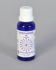 Vita Syntheses 70 spijsvertering enzym 30.00 Milliliter