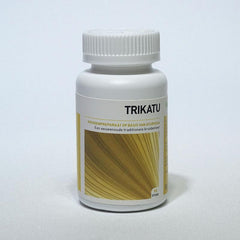 Ayurveda Health Trikatu 90.00 Tabletten