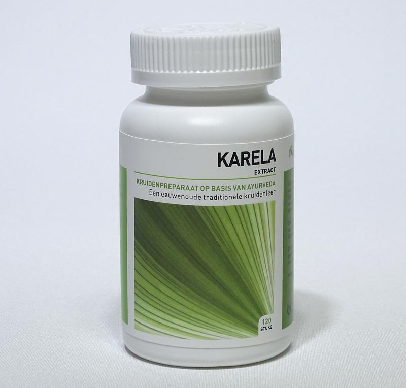 Ayurveda Health Karela momordica 120.00 Tabletten