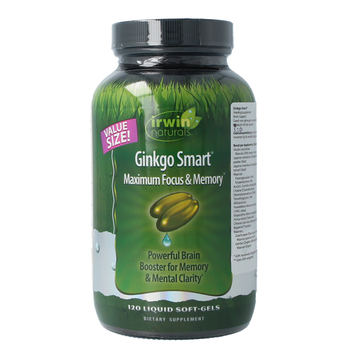Irwin Naturals Ginkgo smart 120.00 Softgels