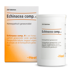 Heel Echinacea compositum H 250.00 Tabletten
