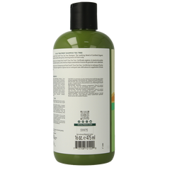 Petal Fresh Shampoo tea tree 475 Milliliter