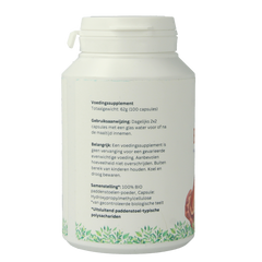 Mycopower Reishi bio 100.00 Capsules