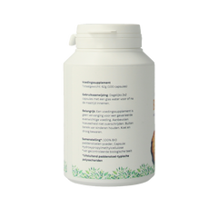 Mycopower Chaga bio 100 Capsules