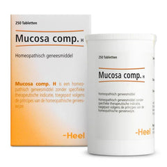 Heel Mucosa compositum H 250 Tabletten
