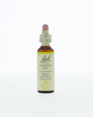 Bach Chestnut bud/kastanjeknop 20 Milliliter