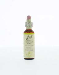Bach Chestnut bud/kastanjeknop 20 Milliliter