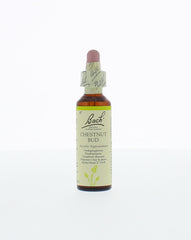 Bach Chestnut bud/kastanjeknop 20.00 Milliliter