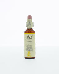 Bach Gorse/gaspeldoorn 20.00 Milliliter