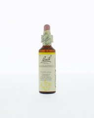 Bach Scleranthus/hardbloem 20.00 Milliliter