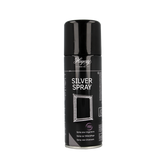 Hagerty Silver spray 200 Milliliter