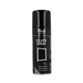 Hagerty Silver spray 200 Milliliter