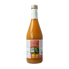 Biotta Mangomix bio 500 Milliliter