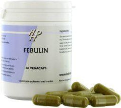 Holisan Febulin 60 Capsules