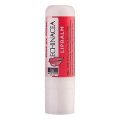 Jacob Hooy Echinacea lipbalsem 1.00 Stuks