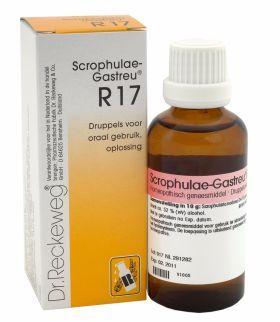 Reckeweg Scrophulae gastreu R17 50 Milliliter