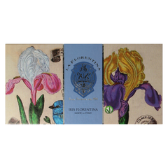 La Florentina Zeep iris 3.00 Stuks