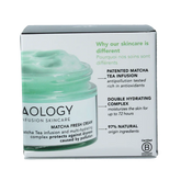 Teaology Matcha fresh cream 50 Milliliter