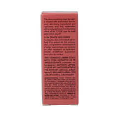 Teaology Lipbalm rose tea 4.8 Gram