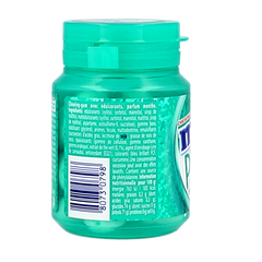 Mentos Gum pure wintergreen pot 30.00 Stuks