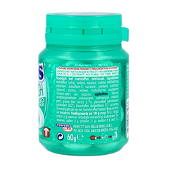 Mentos Gum pure wintergreen pot 30.00 Stuks