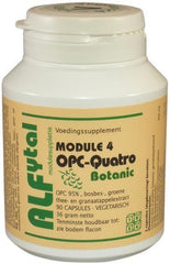 Alfytal OPC-quatro botanic met 4 polyfenolen 90 Vegetarische capsules