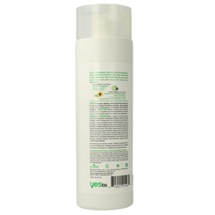 Yes To Cucumber Cucumber shampoo color care 500 Milliliter