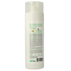 Yes To Cucumber Cucumber shampoo color care 500 Milliliter