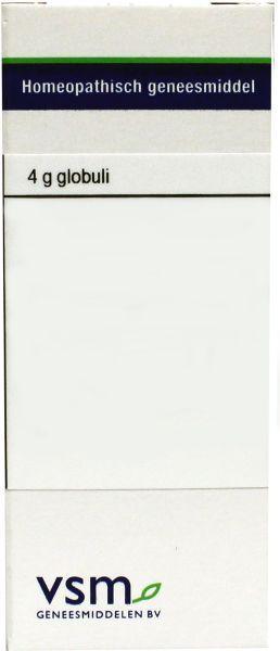 VSM Ruta graveolens MK 4 Gram