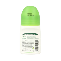 Corpore Sano Deodorant roller tea tree 75.00 Milliliter