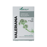 Soria Natural 34- S Valeriana XXI 30.00 Capsules