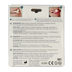 Xylimelts Milde munt 40 Stuks