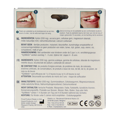 Xylimelts Milde munt 40 Stuks