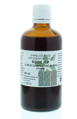 Cruydhof Ulmus campestre rubra / rode iep tinctuur 100 Milliliter