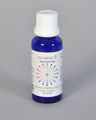 Vita Segment 5 spijsvertering 30.00 Milliliter