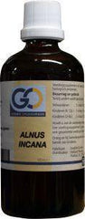 GO Alnus incana bio 100 Milliliter
