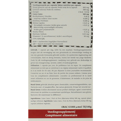 Royal Green Camu camu vitamine C 60 Vegetarische capsules