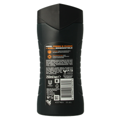 AXE Showergel dark temptation 250 Milliliter