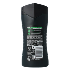 AXE Shower gel Africa 250 Milliliter