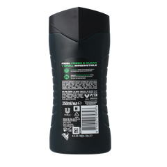 AXE Shower gel Africa 250 Milliliter